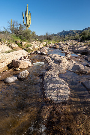 Arizona 2020