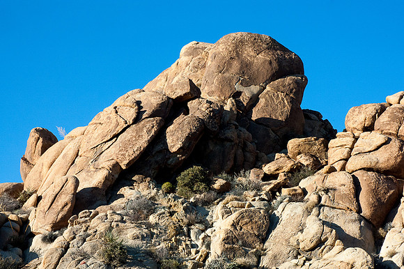 Joshua Tree National Park