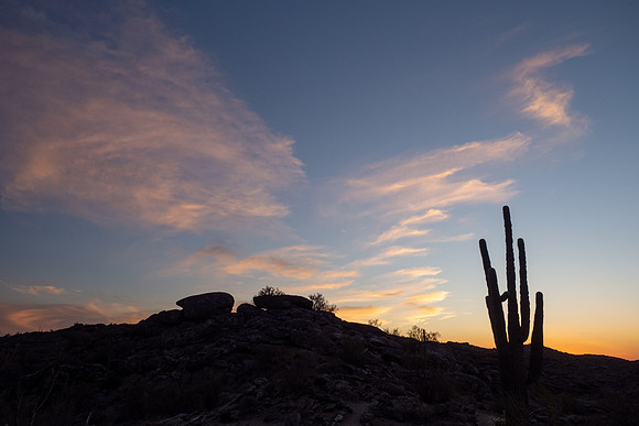 Arizona 2021