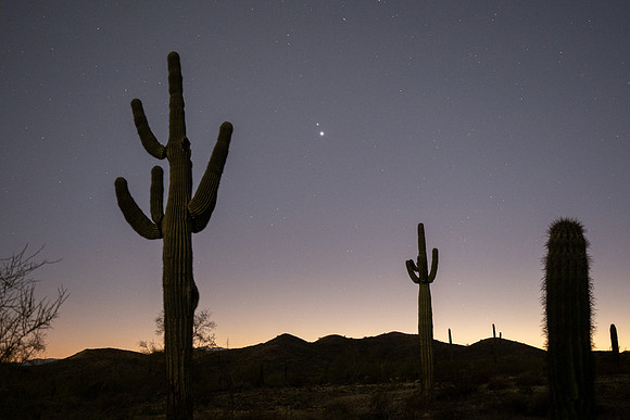 Arizona 2020