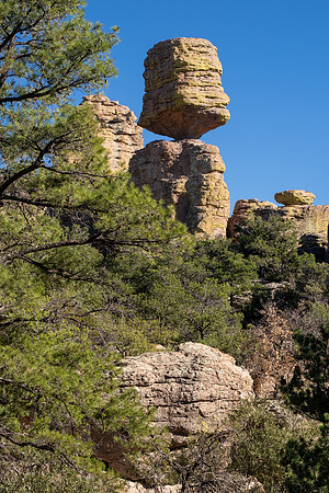 Arizona 2024