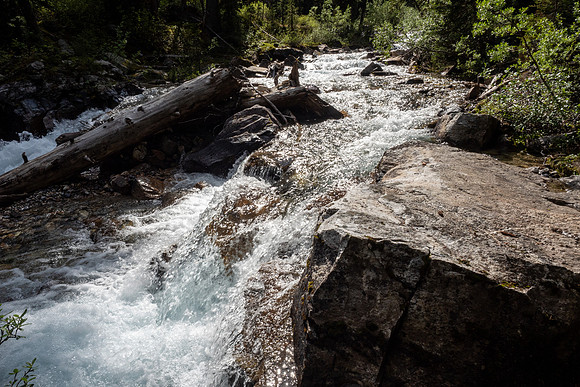 Pacific NW 2019