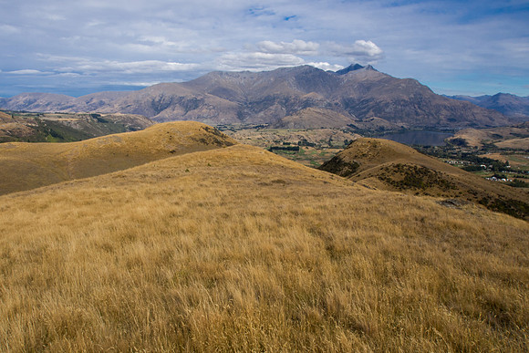 New Zealand 2013
