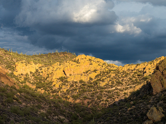 Arizona 2018