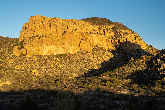 Arizona 2021