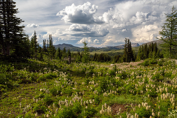 Banff National Park 2025