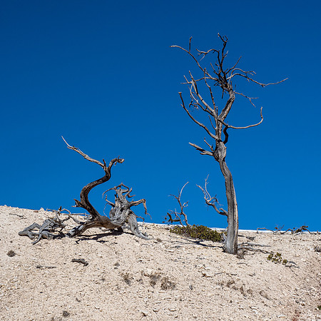 Bryce Canyon National Park 2022