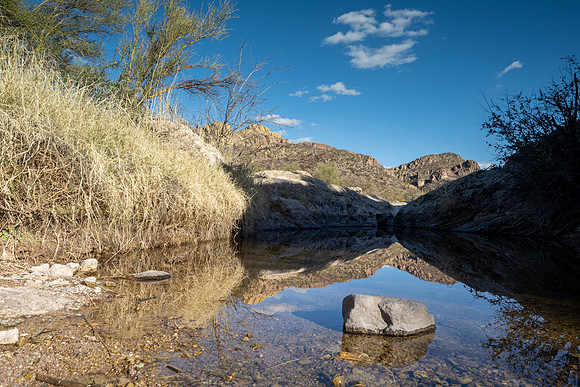 Arizona 2021