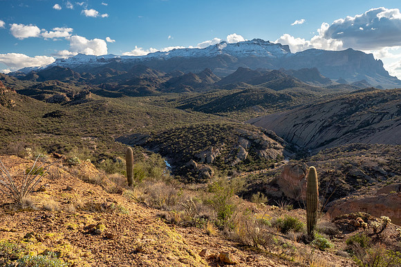 Arizona 2019