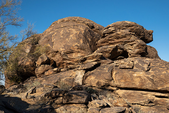 Arizona 2021