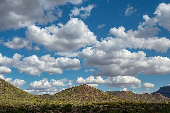 Arizona 2019