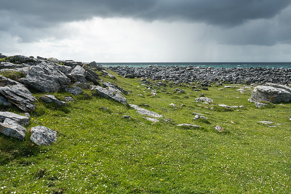 Ireland 2017