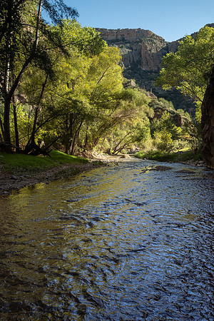 Arizona 2022