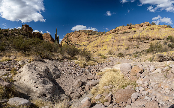 Arizona 2021