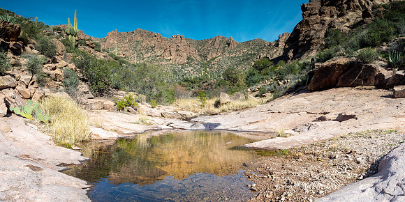 Arizona 2019