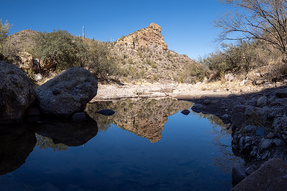 Arizona 2021