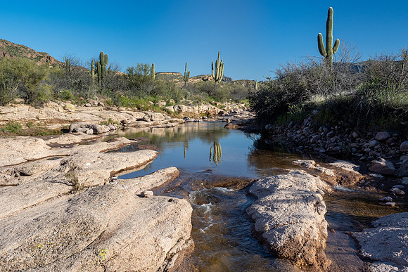 Arizona 2020