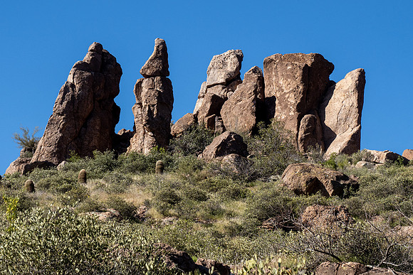 Arizona 2020