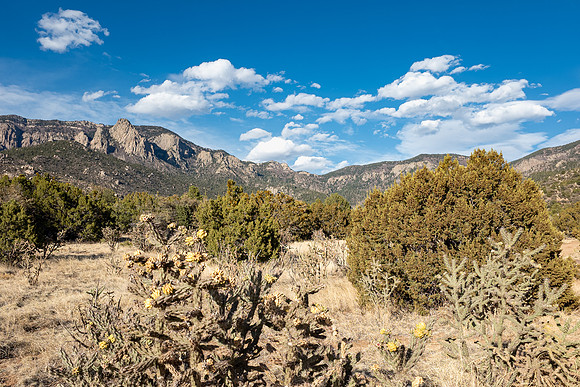New Mexico 2025