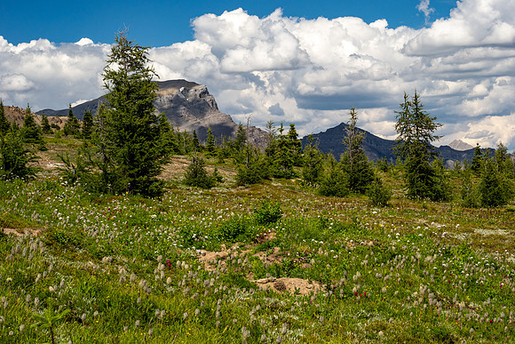 Banff National Park 2025