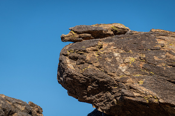 Arizona 2019