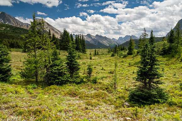 Banff National Park 2025