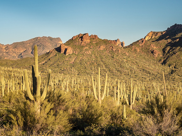 Arizona 2019