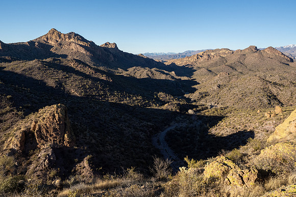 Arizona 2021