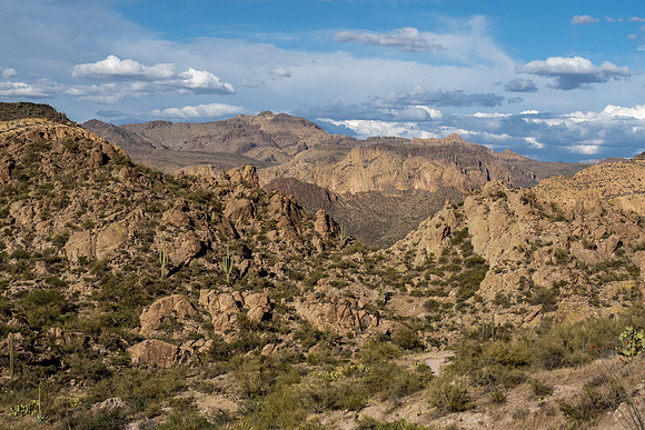 Arizona 2021