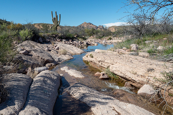 Arizona 2019