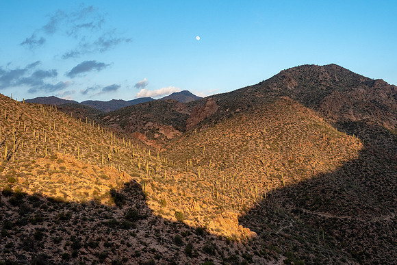 Arizona 2019