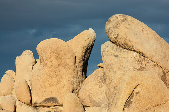 Joshua Tree National Park