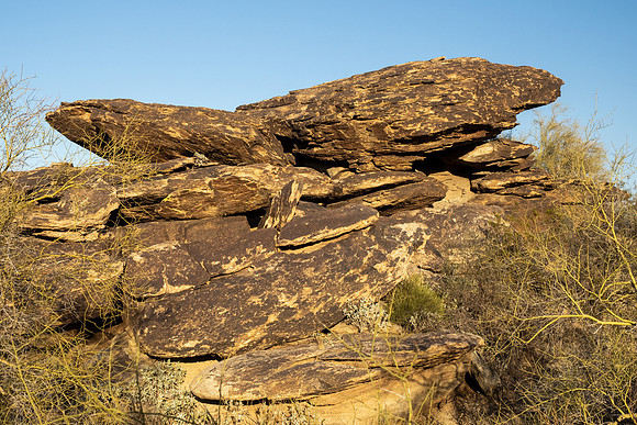 Arizona 2021