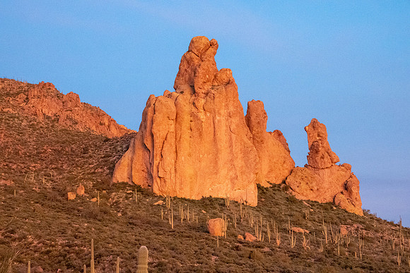Arizona 2019