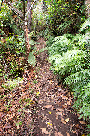 New Zealand 2013