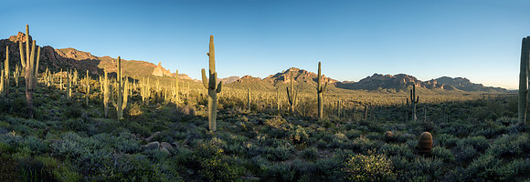 Arizona 2019
