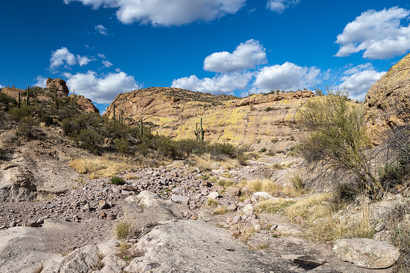 Arizona 2021