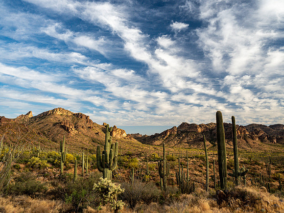 Arizona 2019