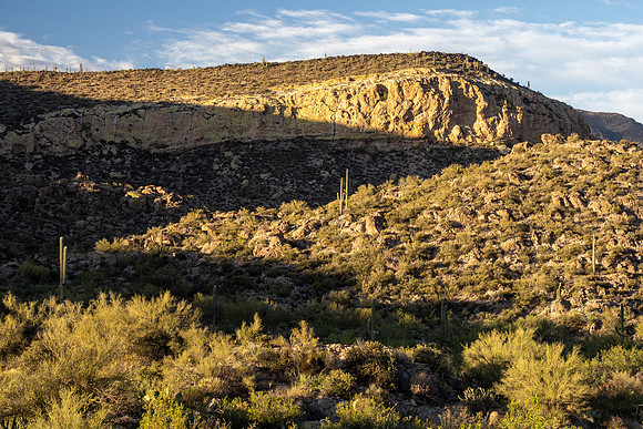 Arizona 2021