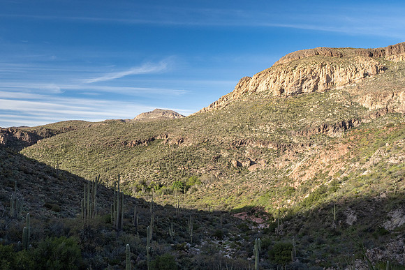 Arizona 2020