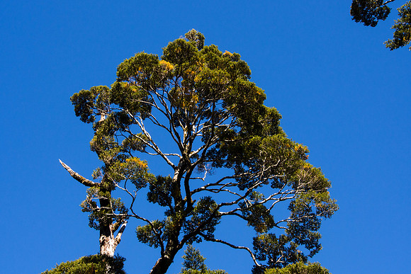 New Zealand 2013