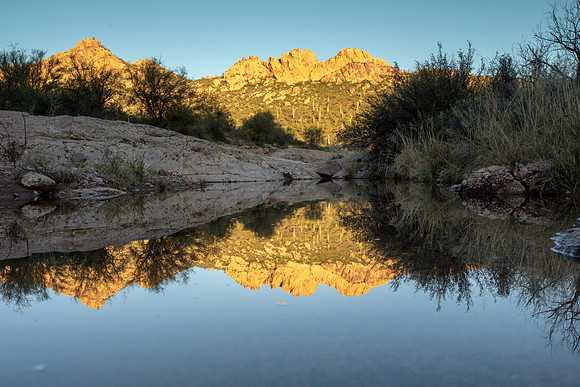 Arizona 2019