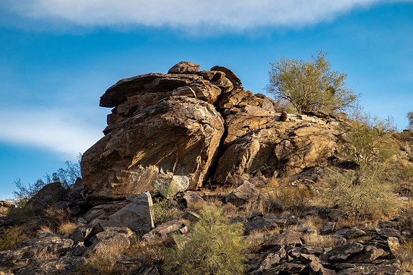 Arizona 2020