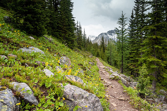 Pacific NW 2019