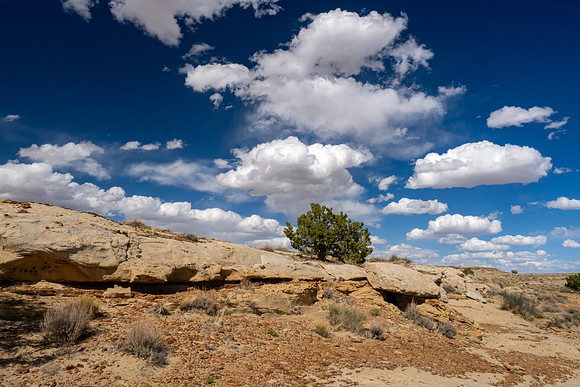 New Mexico 2025