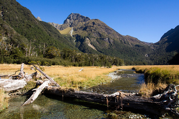 New Zealand 2013