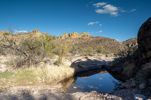 Arizona 2021