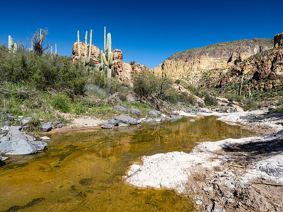 Arizona 2020