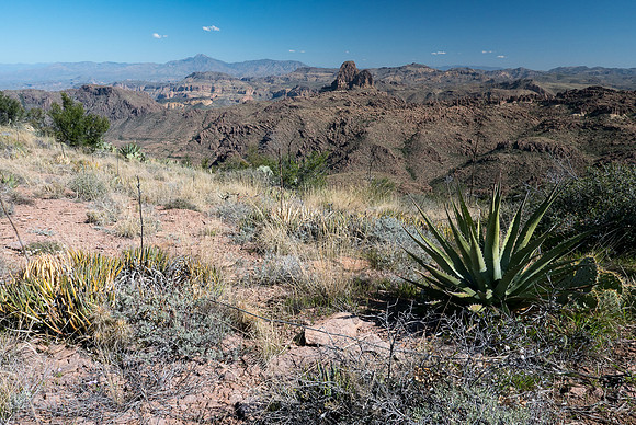 Arizona 2015 - Superstitions Ridge Hike (Mar)