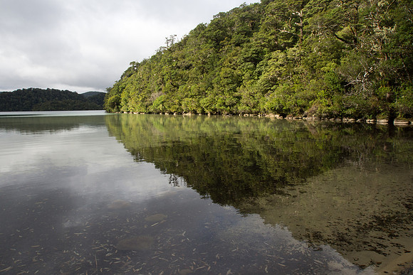 New Zealand 2013